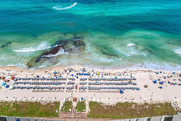 Tidewater Beach Resort image 6